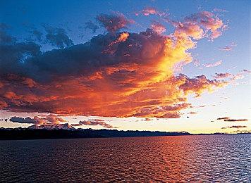 生存管理游戏《战地医院》确定明年1月11日上市