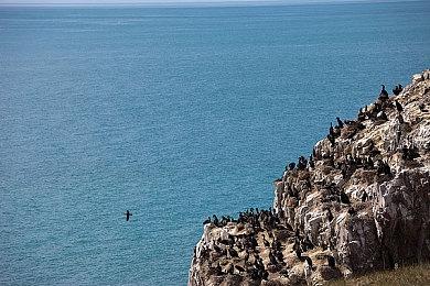 传Xbox计划在2024年再收购一个大型发行商