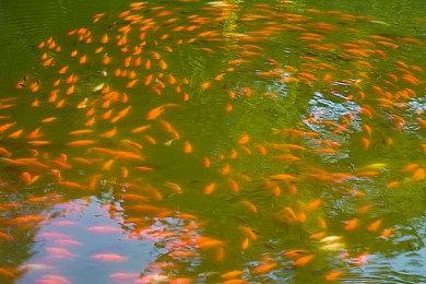 《星之卡比 飞天骑士》细节 樱井政博谈应对3D晕眩